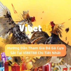 Hướng Dẫn Tham Gia Đá Gà Cựa Sắt Tại VIBET88 Chi Tiết Nhất