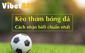 Kèo thơm ai cũng mong muốn gặp trong quá trình soi kèo